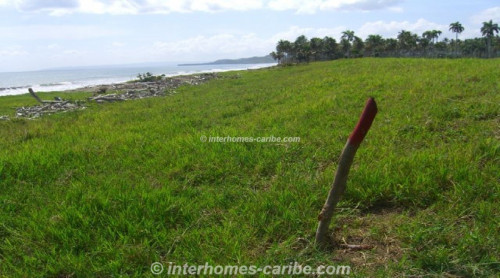 photos for LAS CANAS: LOT WITH 388 m SEAFRONT